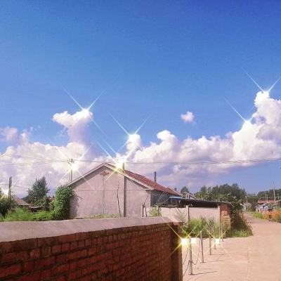 神域仙灵手机游戏下载