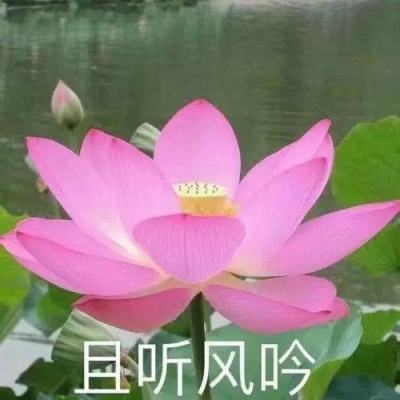 混乱封神gm特权服下载